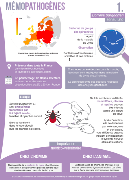 ci_ticks's tweet photo. Après les fiches sur l'écologie des tiques piqueuses en
France, disponibles ici https://t.co/zPA6ryf839,
@ci_ticks et le groupe Tiques et Maladies
à Tiques commence une collection sur l'écologie des pathogènes
transmis par les tiques
https://t.co/GNHq7rfwOx
bonne lecture !! https://t.co/haljmHNK5y