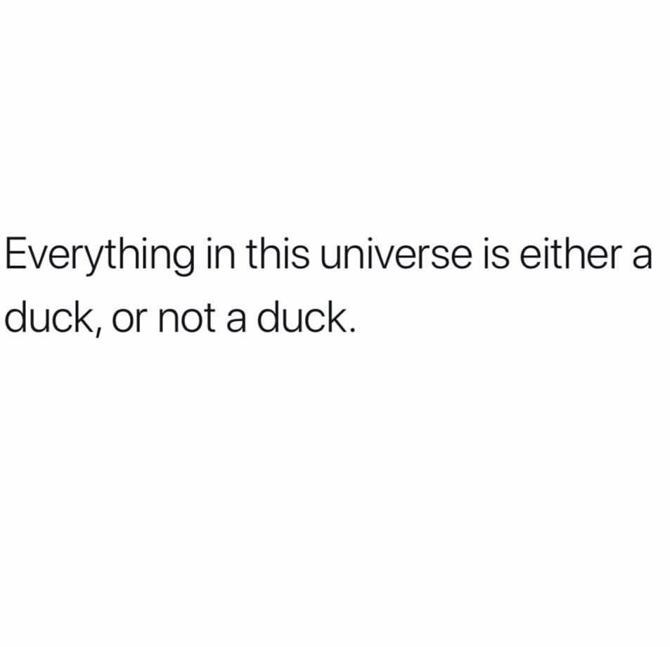 C⊙C⊝⊜. ⁷ ♡ tweet media