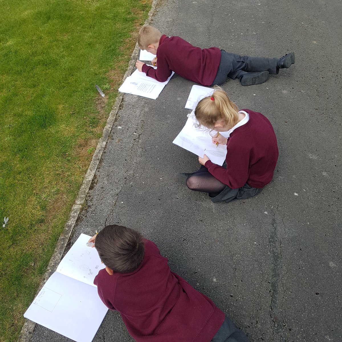 dartonclass7's tweet image. We then carried on looking at our artist for this Half term Henri Rousseau and went outside to practice our sketching techniques #DPS_art @DartonPrimary