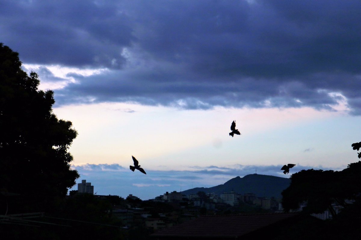 Amanhecer em BH #bdmg