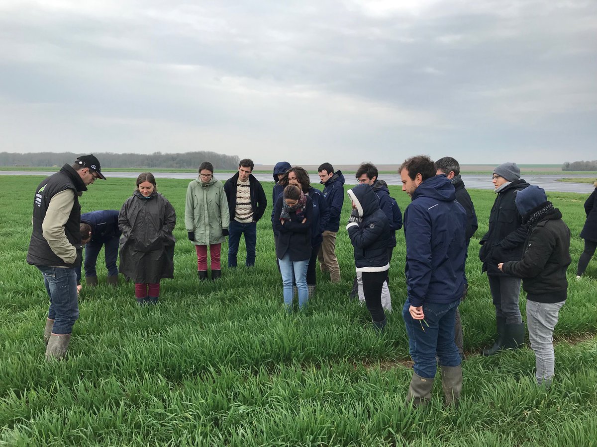 Antoine_Poupart's tweet image. ⁦@agrosolutions⁩ #SurLeTerrain visite des essais ⁦@Terrasolis_⁩ #Terralab . De belles innovations agronomiques !