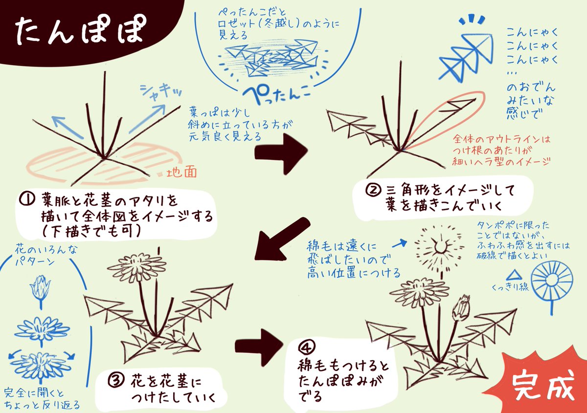 一日一種 簡単なイラストの描き方講習をやることになり 超ウルトラ自己流ですが春の草花の描き方をつくってみました あとはモンシロチョウとツバメを作成中