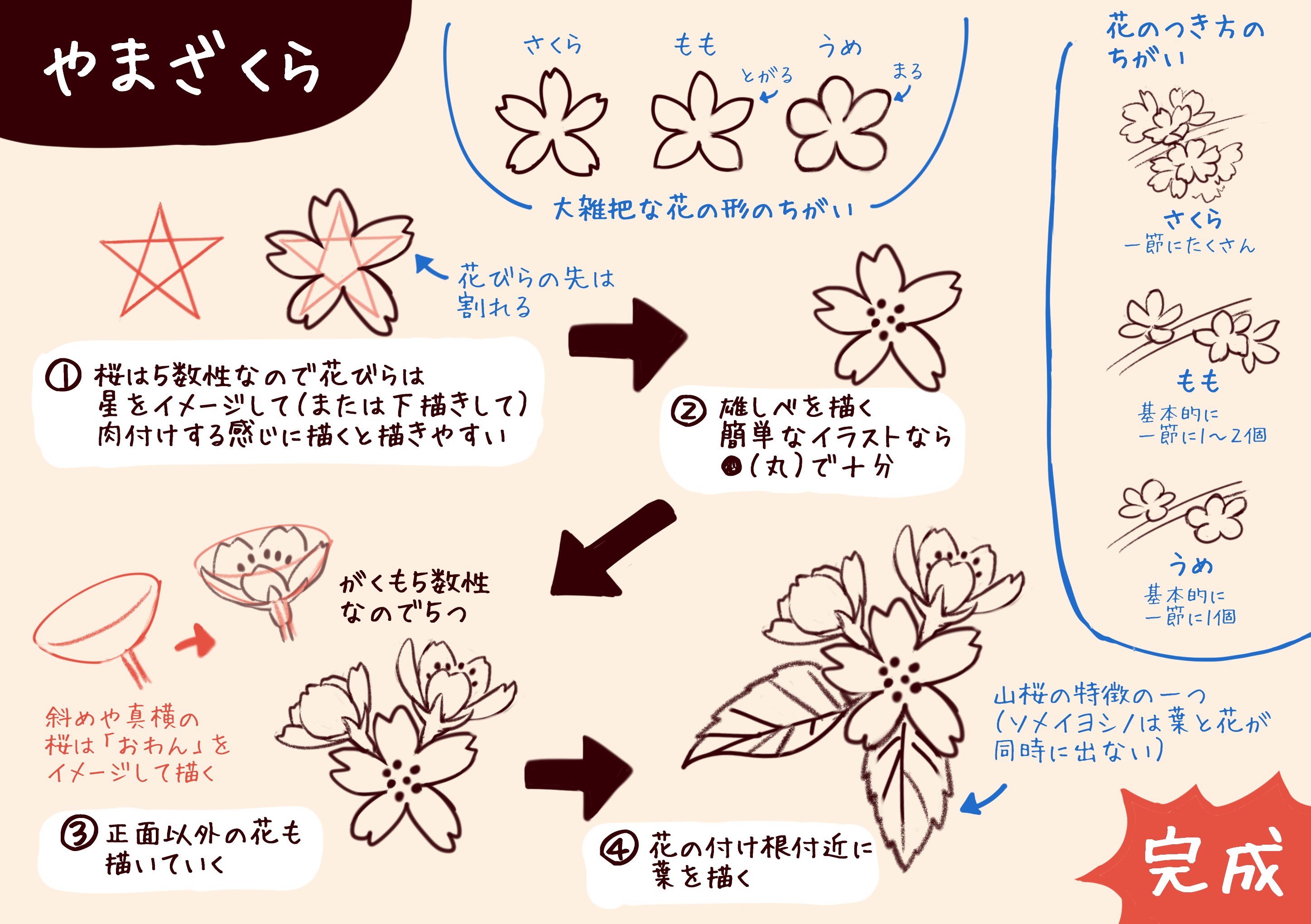 一日一種 簡単なイラストの描き方講習をやることになり 超ウルトラ自己流ですが春の草花の描き方をつくってみました あとはモンシロチョウとツバメを作成中 T Co Ynbikei3li Twitter