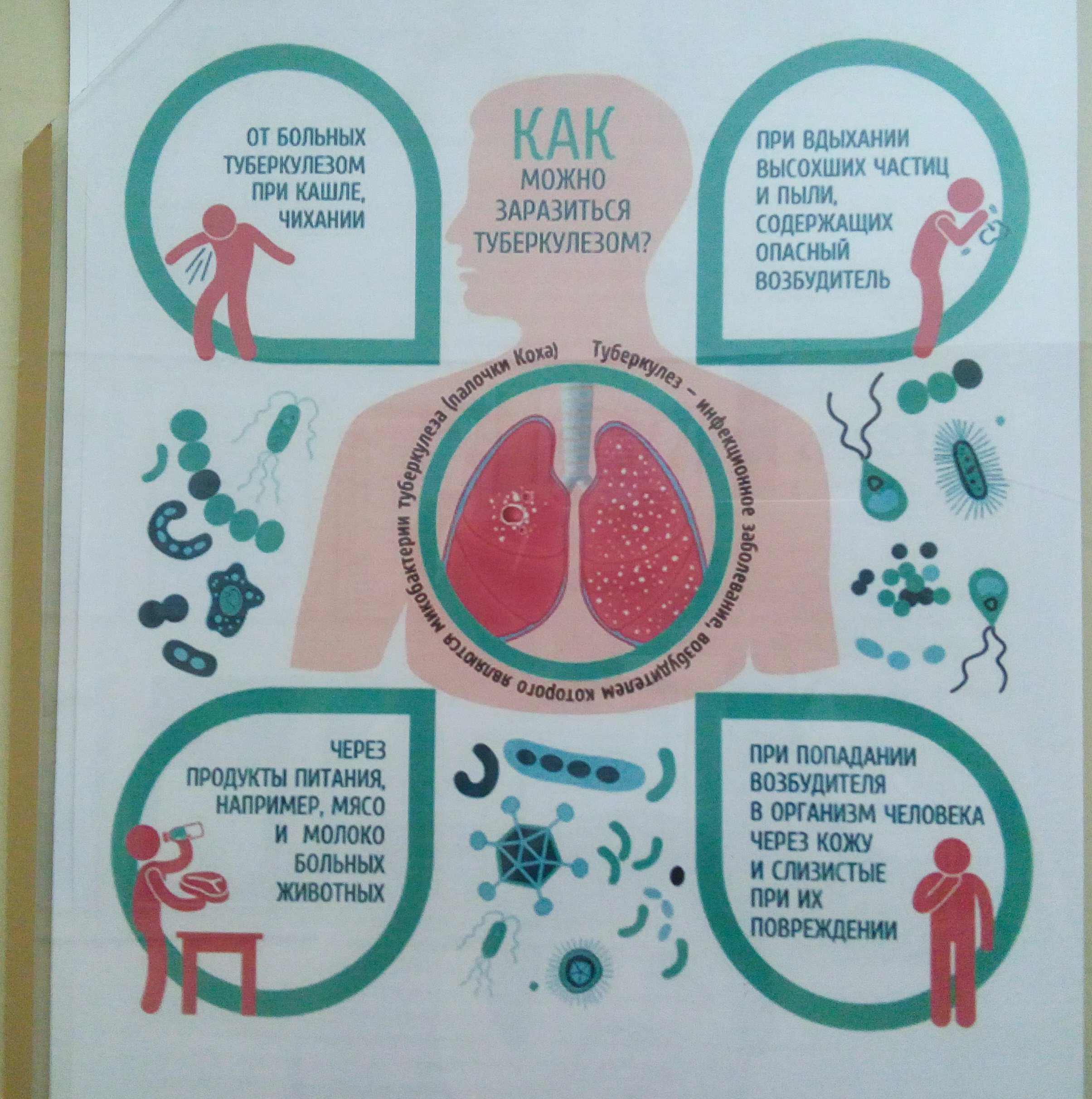 Сведения о туберкулезе. Туберкулез плакат. Профилактика туберкулеза. ПОМЯТКА по туберкулёзу.