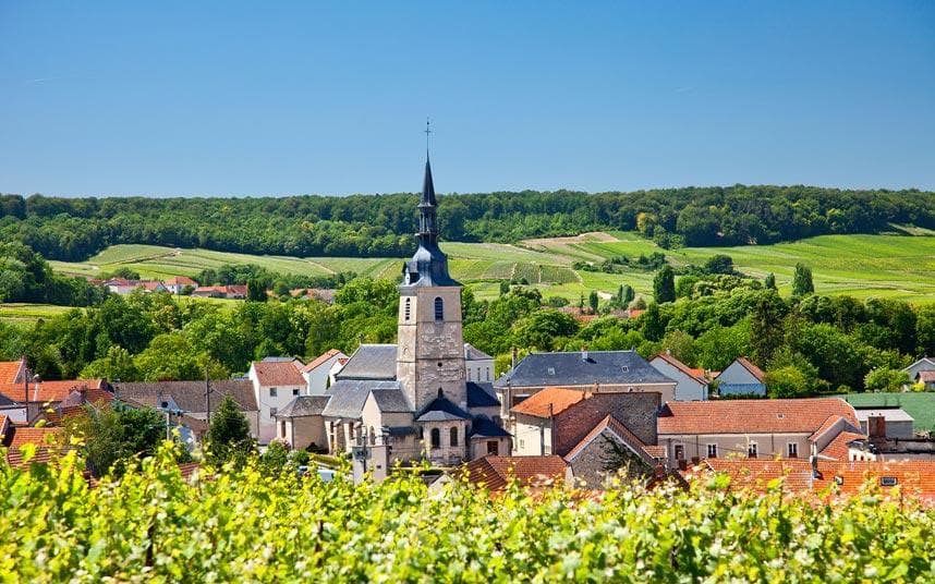 traveltrait's tweet photo. Champagne, France 🇫🇷 https://t.co/9gZsySDXJi