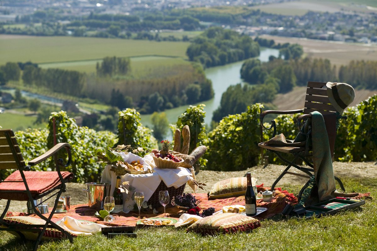 traveltrait's tweet photo. Champagne, France 🇫🇷 https://t.co/9gZsySDXJi