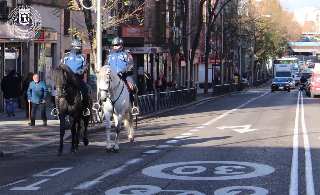 policiademadrid's tweet photo. ¿Quieres formar parte de nuestro equipo?
Eres mayor de edad, tienes Bachiller (equivalente), carnet de conducir B, mides 1,70👮♂️ o 1,65 👮♀️ y cumples los requisitos físicos y psicológicos, preséntate a las #OposicionesPMM
Consulta toda la información en https://t.co/fCBsXonSJ3 https://t.co/wj3ygkJEXd