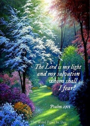 cnelson1884's tweet image. 