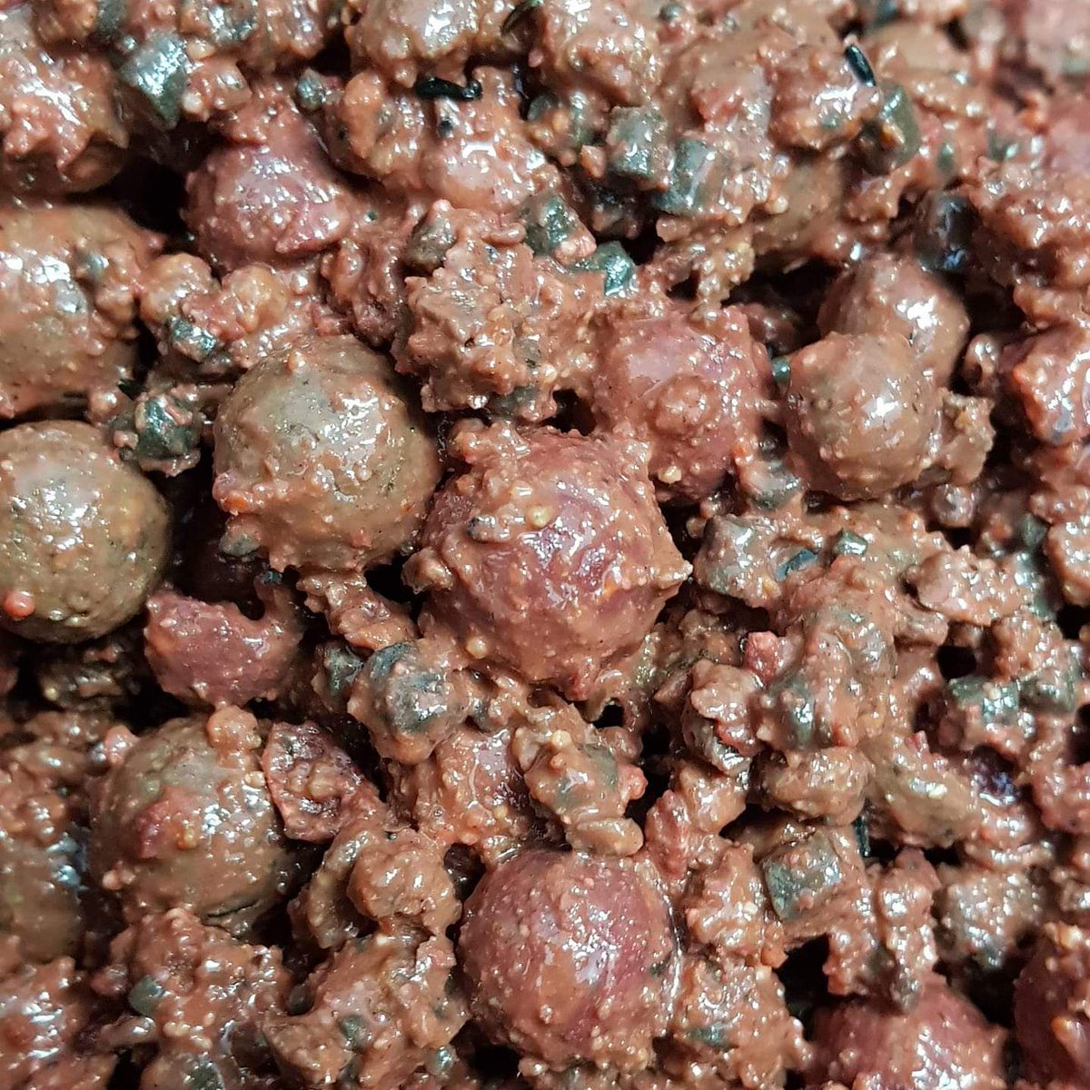 SolarCarp's tweet image. facebook.com/groups/1648980…
Our Bait Preparation.