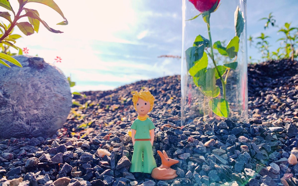 tonies_UK's tweet photo. "The most beautiful things in the world cannot be seen or touched, they are felt with the heart." - The Little Prince 💫
Celebrate his 76th birthday this month and make him a member of your Tonie-Family  🎉: https://t.co/47wBEOU1GK https://t.co/3iblTxtQxE