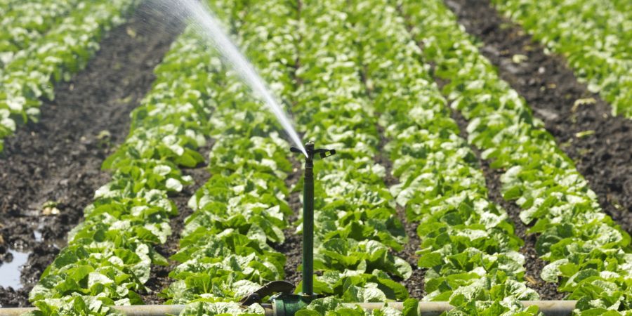 Kom naar de Roadshow Water-Energy-Food op 11/4 met als thema #Dubai Expo 2020 en Research &amp; Development #TKIwatertechnologie wateralliance.nl/event/roadshow… @TSwater <a href="/WaterAllianceNL/">Water Alliance</a> <a href="/envaqua/">ENVAQUA</a>