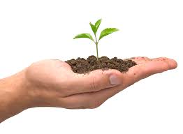 EuroBiomassConf's tweet photo. Website: https://t.co/SOkoRYImgp
14th  Global Summit and Expo on #Biomass and #Bioenergy; #August 26-27, 2019 in #Vienna, #Austria, Submit your abstract  &amp; register for the Biomass 2019 
#Biorefinery #Biogas #Biorenewable #Biodiesel #Biofuel https://t.co/dryXyyzVaR