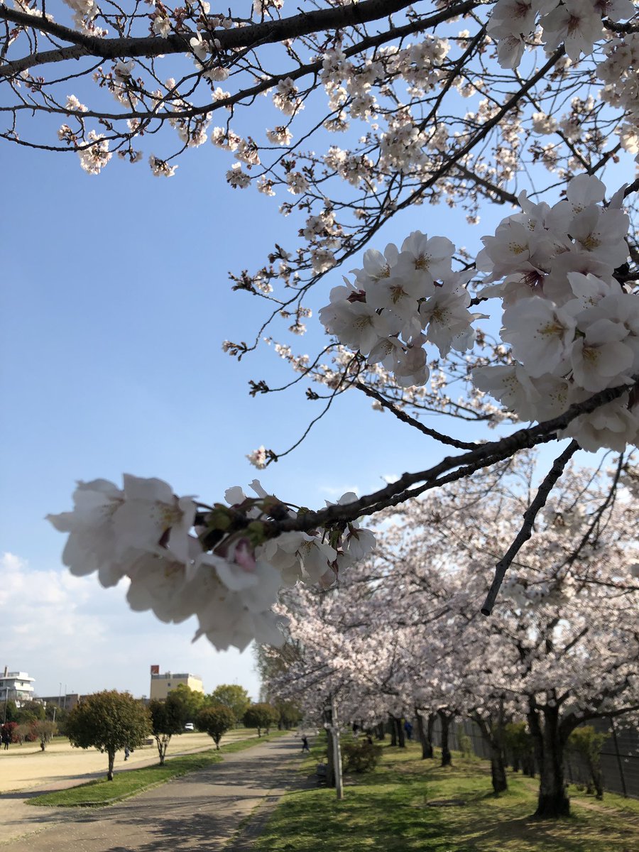 ケイスンハタケヤマ tweet media