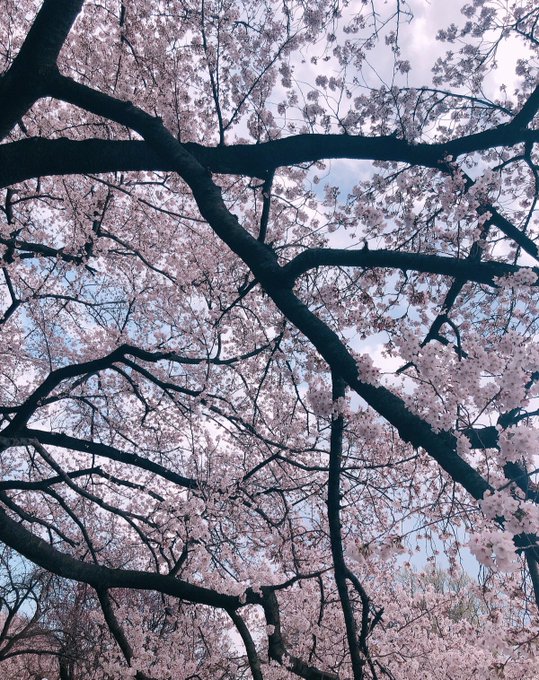 Twitterのコスプレ画像55