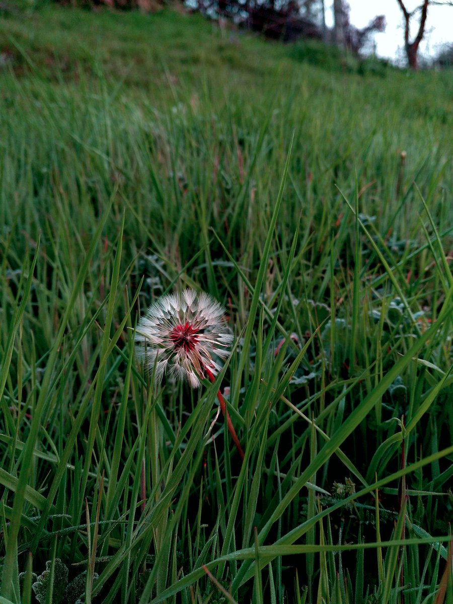 #BuenosDiasATodos
<a href="/AEMET_Cantabria/">AEMET Cantabria</a> nos avisa que vienen cambios 🌧 y 🌨
Así nos levantamos hoy #Martes en #Liébana, habrá que aprovechar el buen tiempo hasta que se estropee.
Por cierto estamos aquí ➡ bit.ly/HostalRemona
#FelizMartes #TuesdayMorning #TuesdayThoughts