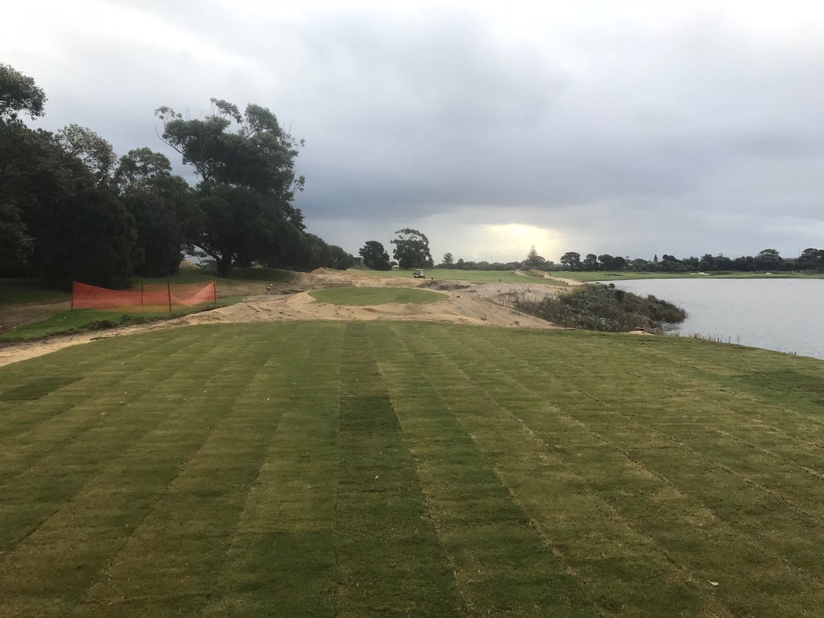 Anthony Mills tweet media