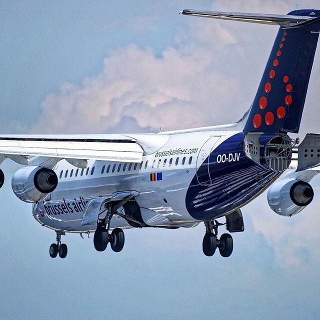 Gwaelkens's tweet photo. The good old times when Jumbolino was the King/Queen of @brusselsairport &amp; @flyingbrussels 
See full 📸 on https://t.co/H3XlyZh5Tw
_____________
#landing #runway #brusselsairport #brusselsairlines #jumbolino #avro #rj100 #avgeek #avporn #megaplane #onewa… https://t.co/T3nwI1v8mp https://t.co/v30SJ4WCYK