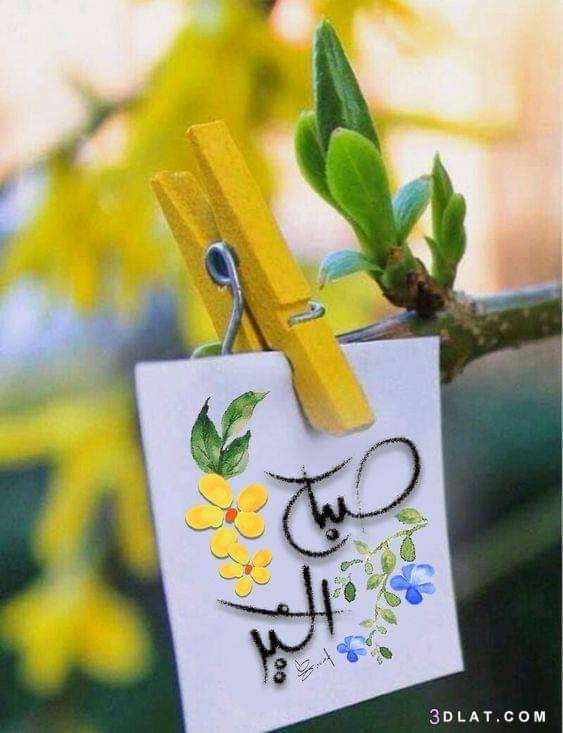 noorl_lmoswy's tweet photo. في أروقة الصباح نور ينتظر أن يتجه اليه قلبك..
فاختلس منه ضوءآ يسعدك..
ويمنحك زادا لحياة أجمل .

صباحكم خير⚘ https://t.co/Bnk3WMRyBC