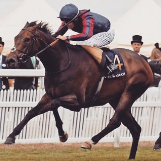 RacingWardrobe's tweet photo. An early design inspired by The Tin Man 💙❤🏇 We LOVE this horse ❤ Looking forward to watching him and Oisin nail it this flat season 🏇❤💙 #thetinman #oisinmurphy #scarf #horseowners #horseracing #silksquarescarf #wearthepower #jamesfanshawe #tomqueally https://t.co/rPhYrpiXpq