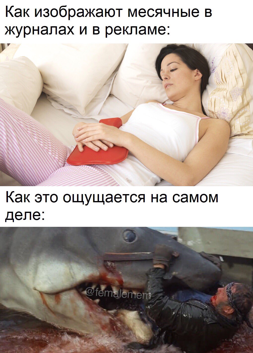 D3IRxarXcAA8YIx?format=jpg&name=large