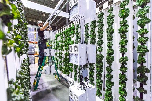 AFTIgobal's tweet photo. What do you get when you mix #innovation and #agriculture? @ZipGrowInc, welcome to the #AFTI family #aftieastafrica

https://t.co/o9ZRFb0UpY https://t.co/JdHBLw6wlN