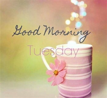 Have a fab day and when you grab your morning coffee have a look at my website witteringsmobilefootclinic.com

#chichester #eastwittering #westwittering #bognor #birdham #foothealth #feet