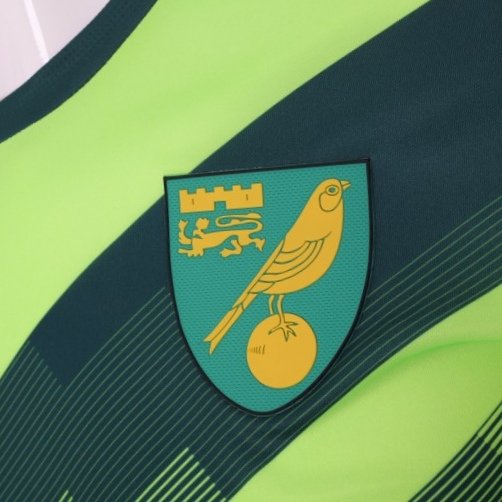 🆕⚽ Love it or loathe it, this #NCFC shirt will be remembered as one of the luckiest in the club's history. Five outings, five wins. 👕

♻️ With due respect to <a href="/KitCrimes/">Kit Crimes ⚽️</a> and @awaykitwatch, here's #KitOfTheWeek #23 ⬇️

sartorial.soccer/2019/04/02/nor…