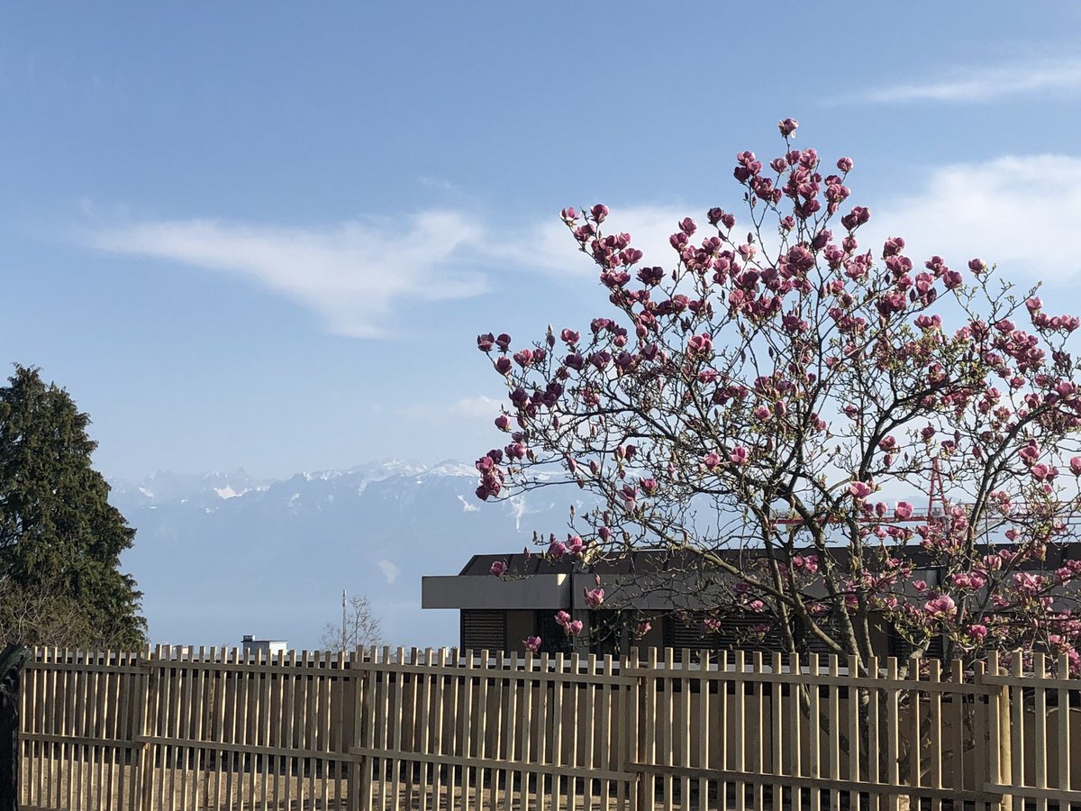 Coaching in Switzerland, New challenge, opportunities. Love my job #Hunkemöller <a href="/P_Mountford/">Philip Mountford</a> <a href="/Vi_Patel1/">Vi Patel</a> @Dimitri_HKM <a href="/HeidiBeek/">Heidi van der beek</a> <a href="/CarolineCaropms/">caroline pannemans</a>