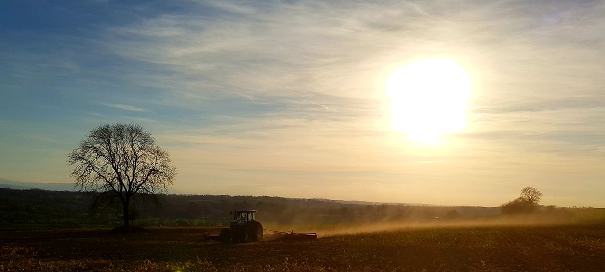 robbycoleman1's tweet photo. Rolling zero til beans after grazed 7 species mix cover crop on Monday evening. 23 year old Ford 8970 is everyone's favourite tractor surely
@NewHollandAG 
#ArableApril #farm365 @BaseIreland @AgrilandIreland https://t.co/vHSjQwi1uh
