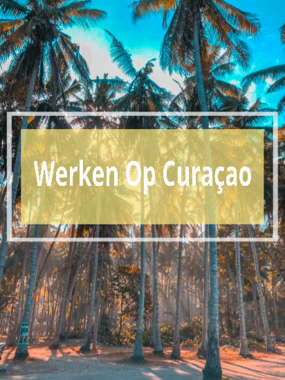 afgestudeerded's tweet photo. Je kan er boodschappen doen bij de Albert Heijn en Nederlands praten, maar er is altijd zonnig weer! Lees hier meer over werken en stage lopen op #Curaçao https://t.co/7vEDo11xse https://t.co/hhhaXT7tTv