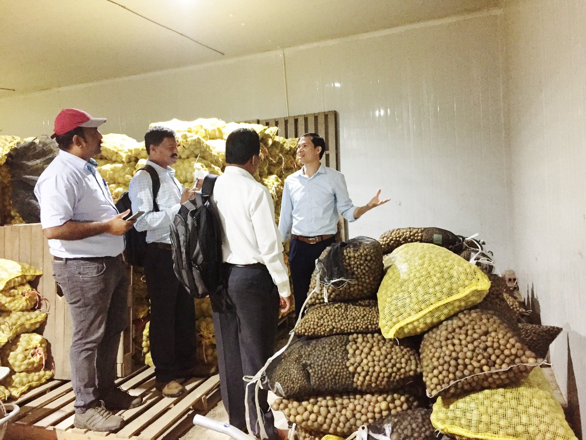 CIP facilitates visit of #Indian scientist to learn low-cost #potato #seed multiplication in #Vietnam
<a href="/Cipotato/">International Potato Center</a>  <a href="/BarbaraWellsCIP/">Barbara Wells</a> <a href="/CGIAR/">CGIAR</a> <a href="/ZeroHunger/">ZeroHunger Challenge</a>