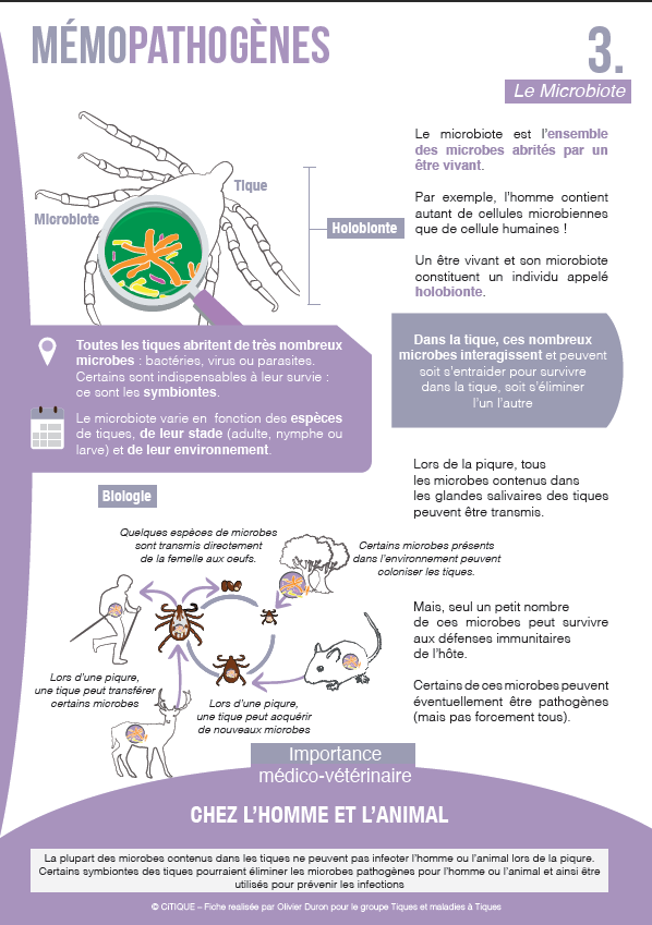 ci_ticks's tweet photo. Après les fiches sur l'écologie des tiques piqueuses en
France, disponibles ici https://t.co/zPA6ryf839,
@ci_ticks et le groupe Tiques et Maladies
à Tiques commence une collection sur l'écologie des pathogènes
transmis par les tiques
https://t.co/GNHq7rfwOx
bonne lecture !! https://t.co/haljmHNK5y