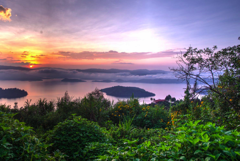goexploresafari's tweet photo. Our New #Destination comprised by the globe's second-vast rainforest, that has glacial peaks/mountains &amp; savannah grassland elsewhere, the #DRCongo is massive &amp; gives support to an astounding collection of flora-fauna &amp; with rich diversity cultures. https://t.co/6GaleqTb3V