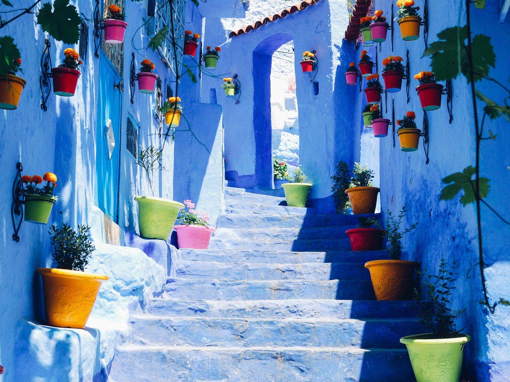 Whether you'd love to experience #Agadir's palm-lined boulevards and bright white buildings, or fancy upping your Insta-game amongst the famous blue buildings of #Chefchaouen, there's something for everyone in Morocco muchmorocco.com/locations/