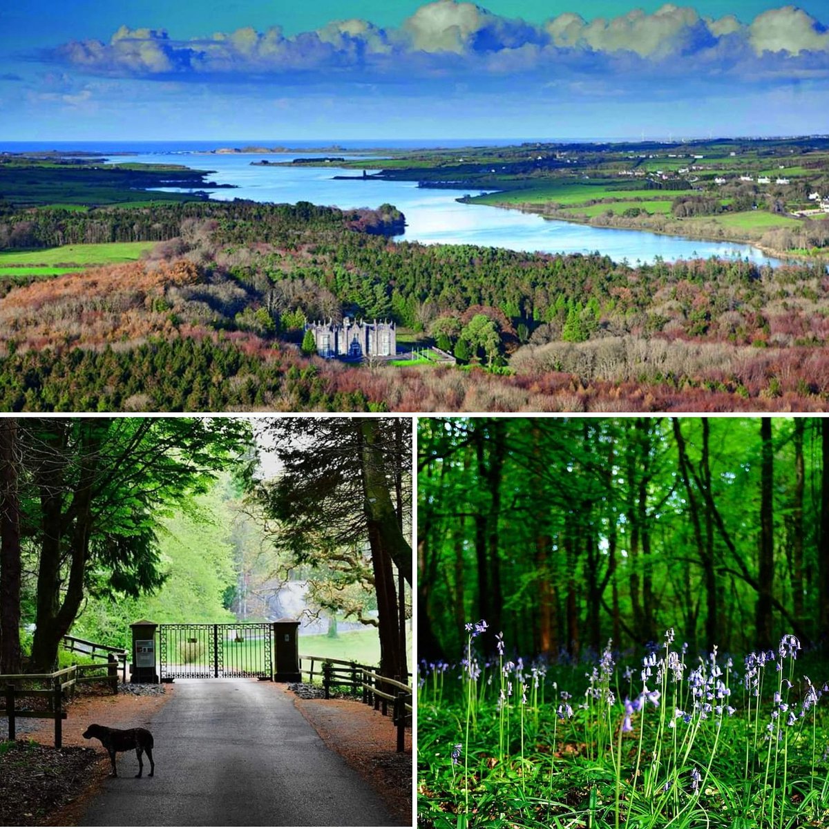 Jack Fenn’s at Belleek Castle tweet media