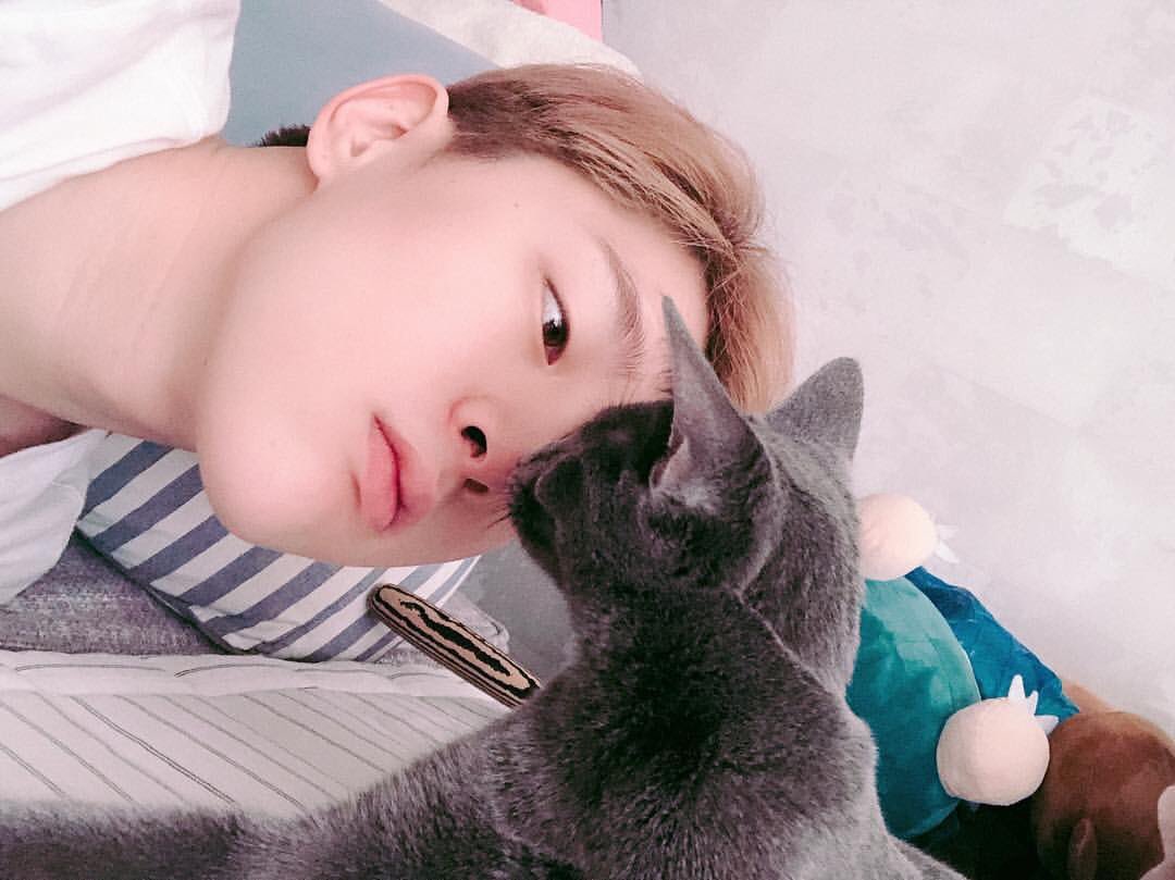 OnlyKwonHyunbin's tweet photo. 2019.04.02
Hyunbin ig update https://t.co/3yxYPMFnHb