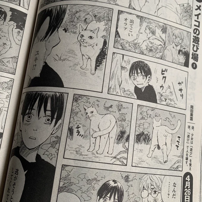 本日発売の漫画アクションにて「ウォーキング・キャット」21話が掲載されています。
追われるカオル達の前に駆けつけたユキ。
よろしくお願いいたします! 