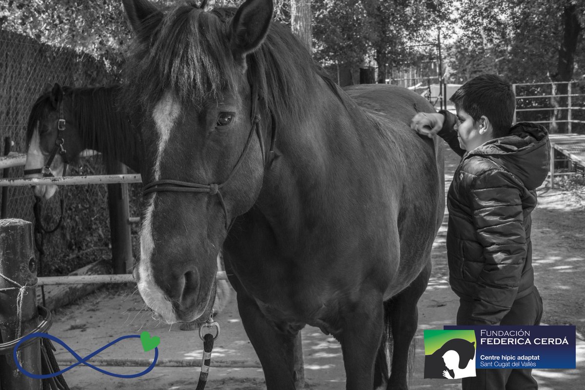 Hoy es el  #DiaMundialAutismo caminemos juntos hacia un mundo sin barreras y en igualdad de oportunidades <3 
Os dejamos el lema de AutismoDiario que nos ha encantado: " El autismo es parte de mi vida, no me apartes de la tuya"
#LightItUpBlue