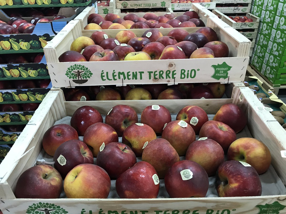 Blampin Fruits tweet media