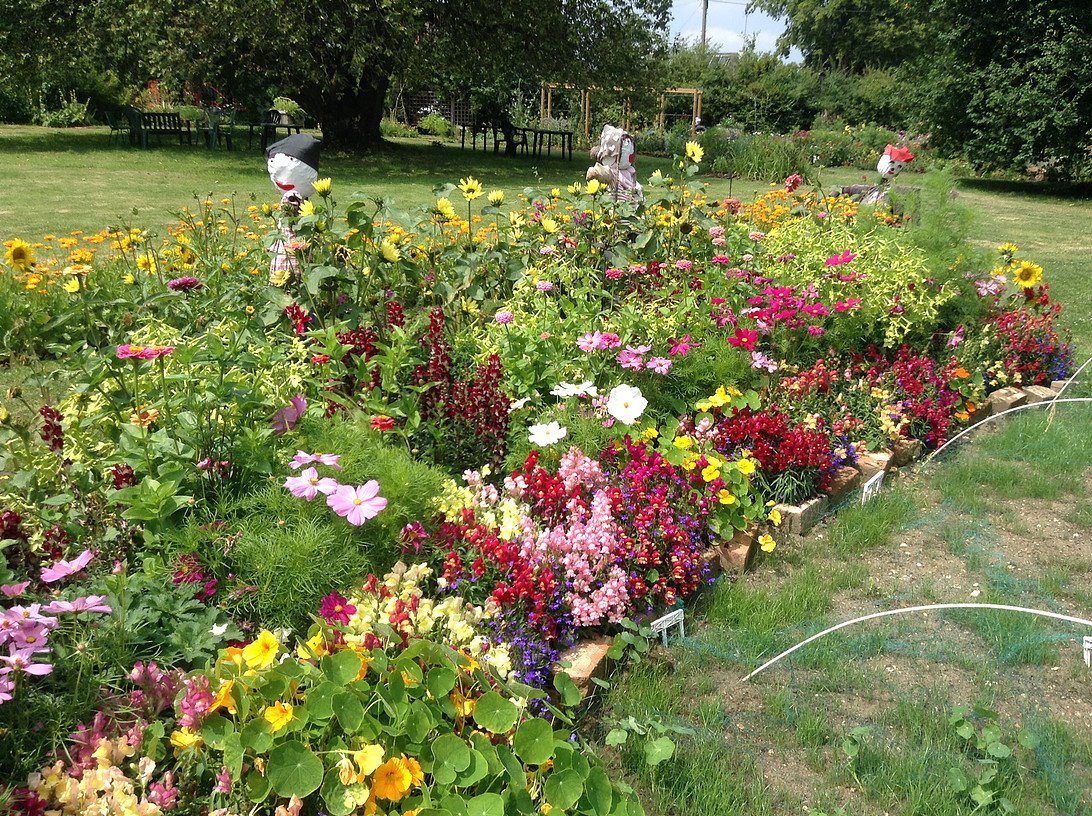 @ReadinginBloom tweet media