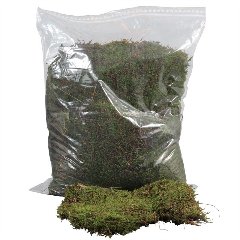 Adomex's tweet photo. Platmos in recyclebare plastic zakken? Hebben we! Weg met die piepschuim bakjes: erg belastend voor het milieu en veel afval. Gelukkig is er een duurzamer alternatief! Meer info? Vraag onze verkopers of bekijk webshop: https://t.co/fuFXOoyEgW #platmos #recyclebarezakken #adomex https://t.co/Q6jhwLxc04