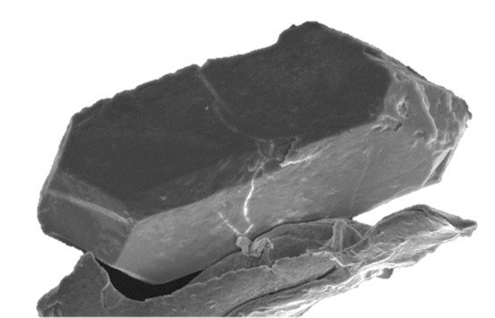 SELFRAG_AG's tweet photo. Please RT: If you're at @EuroGeosciences #EGU2019 and would like to find out more about #zircon liberation using SELFRAG, our processing service or machine purchase, let us know on info@selfrag.com and we'll get in touch to arrange an informal meeting. https://t.co/t36IfytG9Q