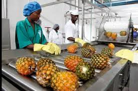 AcetforAfrica's tweet photo. South Africa has more than 7,000 agro-processing firms with their own commodity value chains. The sector is dominated by a few large diversified firms. #SouthAfrica #agriculture #ATR2017 https://t.co/bTWzFmZGln