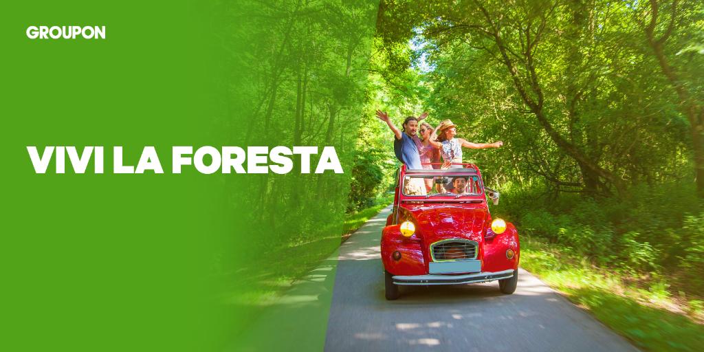 Ci sono tanti modi di vivere la Natura🌿
Scegli il tuo su Groupon!
gr.pn/2I2mgqF