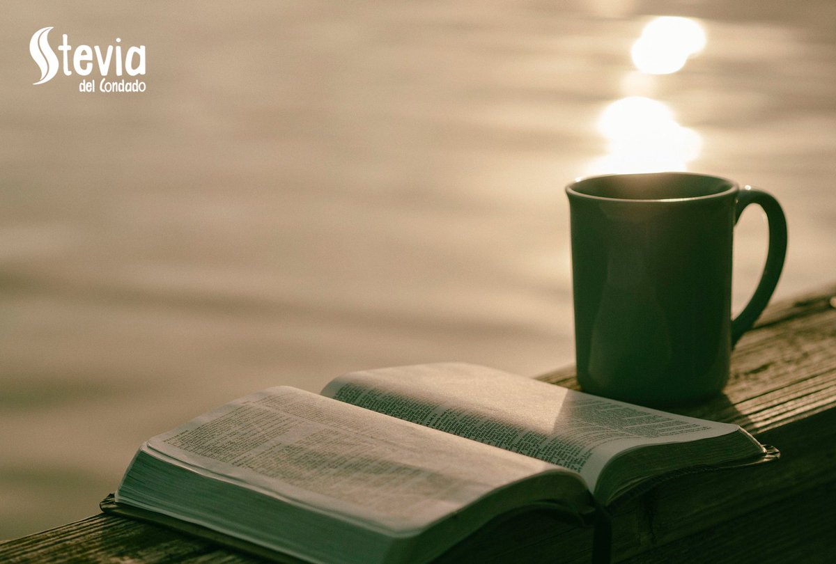SteviaCondado's tweet photo. Amanece lluvioso en Madrid. Los días de lluvia son para pasarlos en casa, con una taza de té y un buen libro. 🍵
#FelizMartes #SteviadelCondado #MadeInAndalucia https://t.co/h4Irc0vkg9