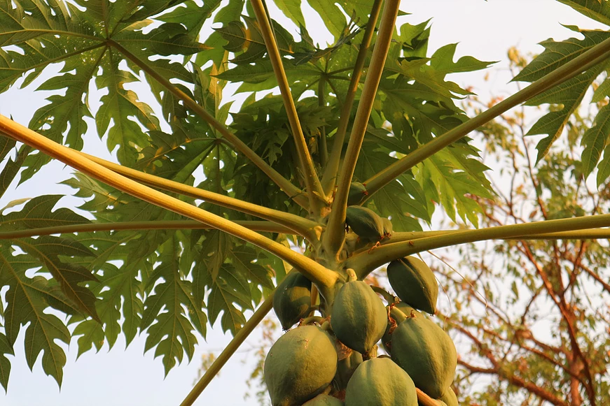 GEN Ghana tweet media