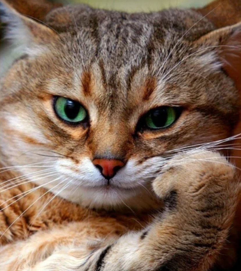 �������, ���� � �������� ������