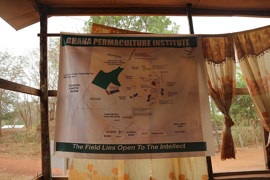 The Ghana Permaculture Institute occupies what was formerly, 24 acres of degraded land and infertile soil. Permaculture has made it possible to grow food and cash crops where it previously didn't seem possible. The barren, gravel landscape is now green! #greening #permaculture