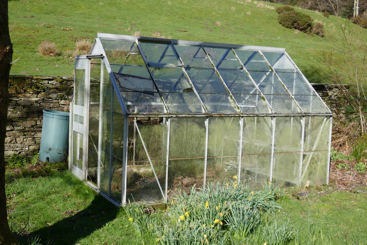 TheLengthsman's tweet photo. Man now has two #greenhouses to dismantle and re-build on the #allotment for #cucumbers #corgettes & #tomatoes
#HarderthanBrexit https://t.co/o5K0Psbqzn