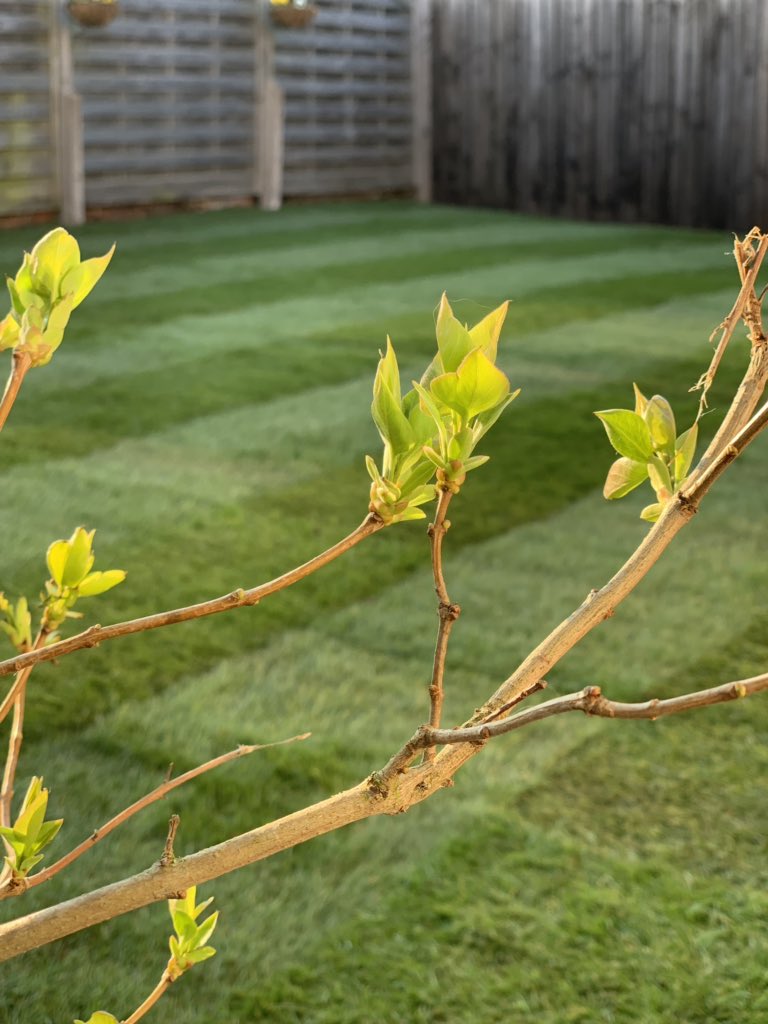 Big thanks to @dillonhickman @bradley36183410 for these HD photos of our last project in #EastLeake 👏 Great 'Kandla Grey' Sandstone from <a href="/Smevwack/">Sam Smethurst</a> @markhollywood83 <a href="/SandstoneUK/">Cheshire Paving Stones</a> #nottingham #Landscaping #Creatingyourperfectspace Facebook.com/gandjlandscapes 
gandjlandscapes.co.uk